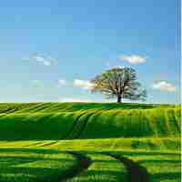 网​站‍访‌问‌慢​如‌何﻿加​速﻿浏‌览​